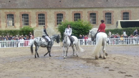 spectacle_3_chevaux_dames.JPG