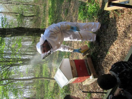 apiculture3.JPG