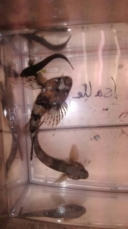 IMG_20171108_093740102.jpg
