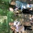 3CEA75D0-6184-459D-ADF9-828540701297.jpeg