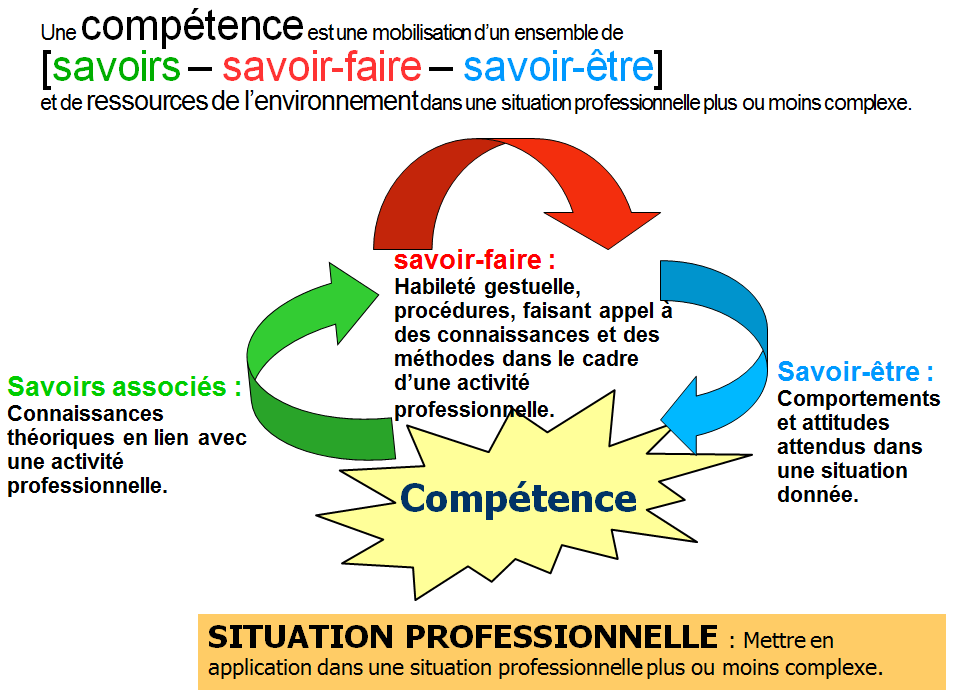 Référentiel. Socle De Connaissances Et De Compétences Professionnelles